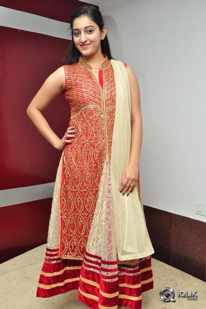 Ardhanaari-Movie-Success-Meet